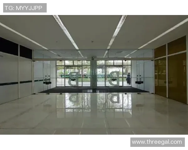 北京篮球队技术对比深度分析：战术风格与球员表现全景解析