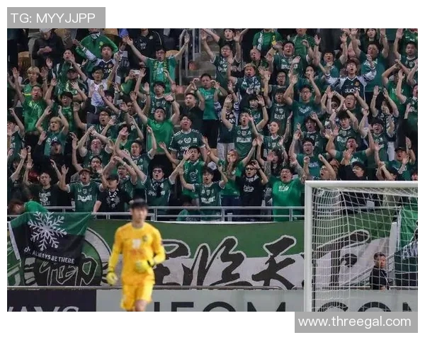 北京篮球队战术变革引发热议球迷期待新赛季表现提升 北京篮球队战术变革引发热议球迷期待新赛季表现提升