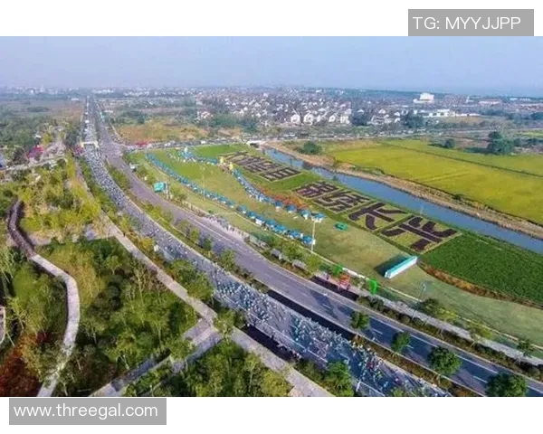 北京飞盘队在马拉松大满贯中的卓越团队协作表现分析与点评