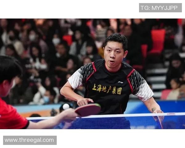 南京乒乓球队技术争议引发热议球迷与专家各抒己见探讨未来发展方向