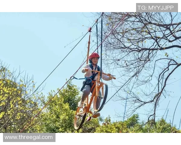 广州排球队耐力问题引发热议球迷与专家各执己见探讨争议原因