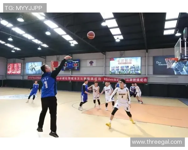 深入探讨上海篮球队比赛经验的表现与数据分析的关系