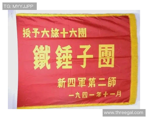 重庆排球队的拼搏之路欧锦赛背后的故事与荣耀