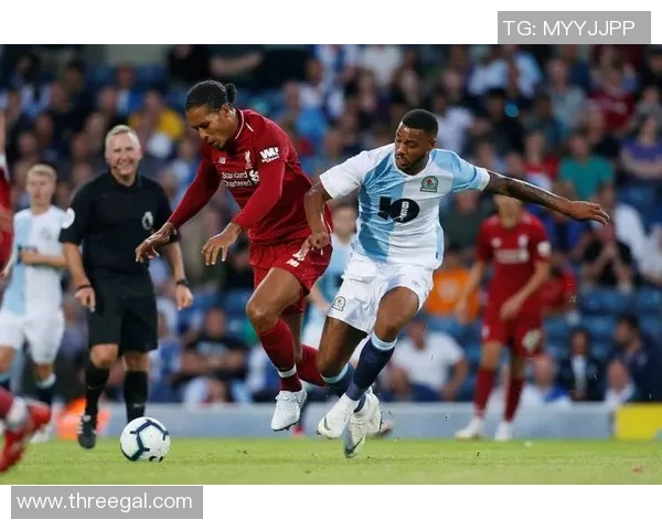 加的夫城迎战西布朗展现英冠激烈对决精彩瞬间回顾 加的夫城迎战西布朗展现英冠激烈对决精彩瞬间回顾