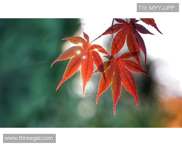 马丁内利的崛起与未来展望：年轻天才如何改变足球格局