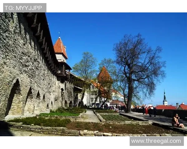 芬兰与爱沙尼亚历史渊源探讨及两国关系演变分析