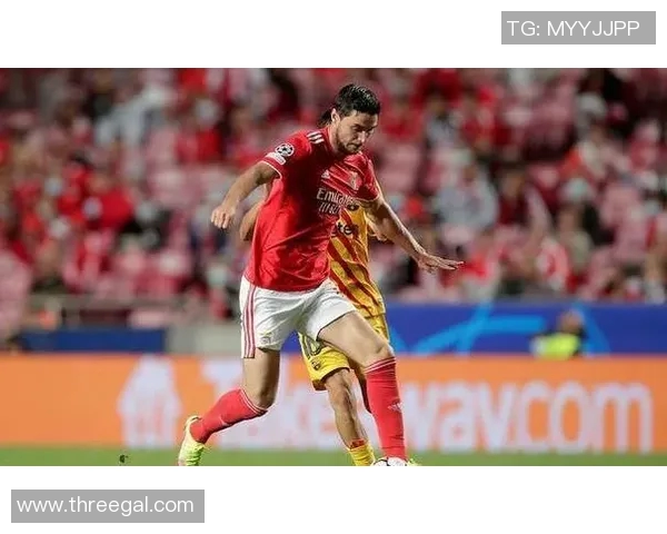 阿维斯对阵本菲卡精彩直播全程回顾与赛后分析