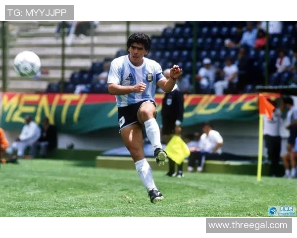 孙兴O的传奇之路：从青涩少年到世界足球巨星的奋斗历程