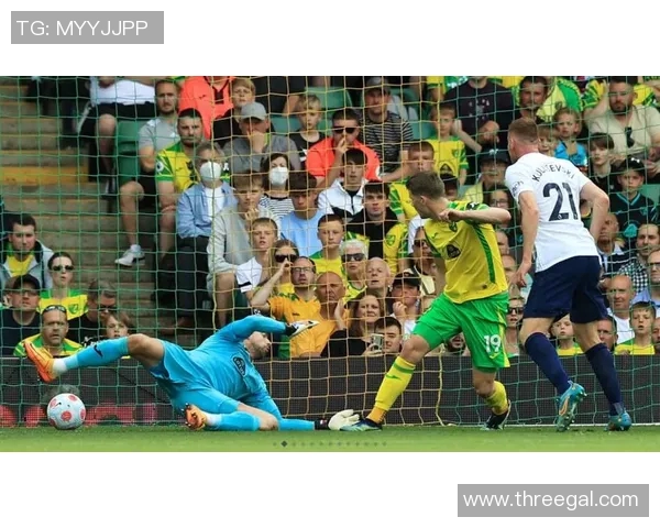 热刺与诺维奇精彩对决录像回放全程回顾与精彩瞬间分析