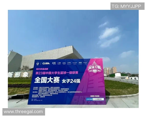 成都篮球队的转型之路：深度解析球队发展与未来展望MBA