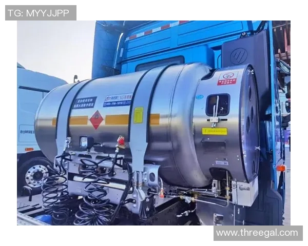 独家解析LNG灵活性优势与传统能源的深度对比分析MBA