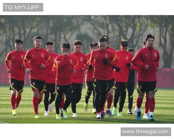 08年奥运国足与新西兰精彩对决视频回顾与分析 08年奥运国足与新西兰精彩对决视频回顾与分析