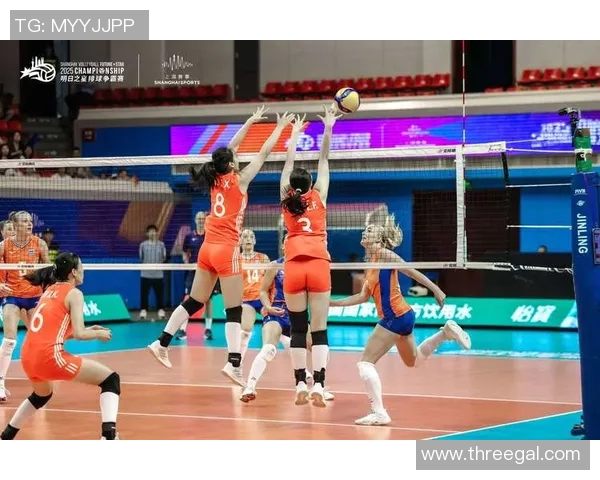 中国女排与荷兰女排首发阵容对比分析及比赛前瞻