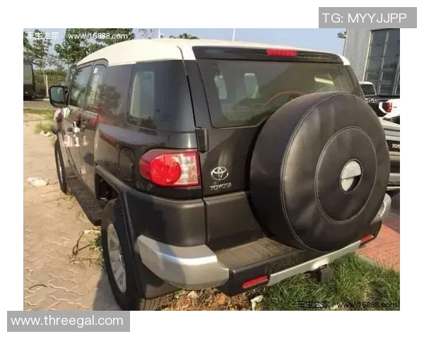 北京乒乓球队在洲际杯积分榜中以83分稳居第一名展现强劲实力MBA