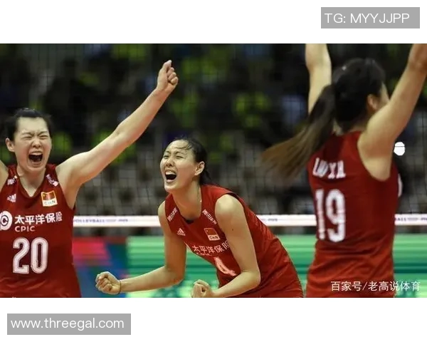 南京排球队区域防守革新探索与实践的深度分析与展望