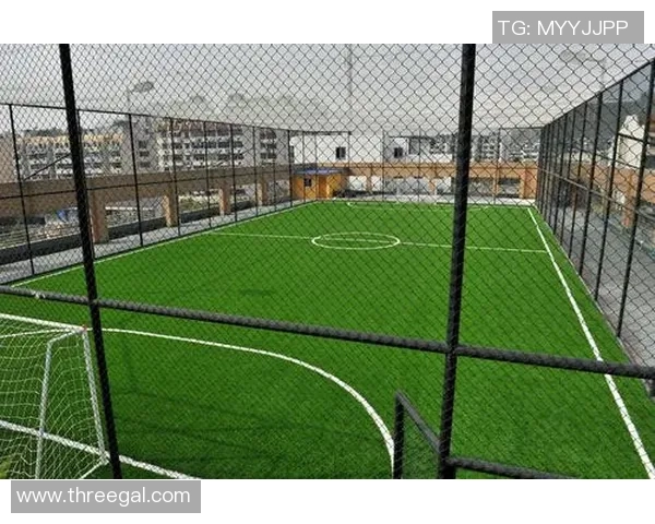 杭州极限运动队个人能力表现的数据分析与提升策略探讨 杭州极限运动队个人能力表现的数据分析与提升策略探讨