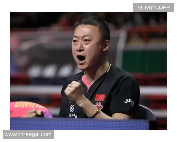 武汉乒乓球队攻防新策略探讨与技术革新之路 武汉乒乓球队攻防新策略探讨与技术革新之路