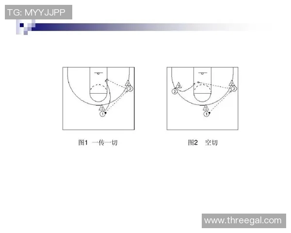 南京篮球队灵活性分析与战术适应性研究探讨