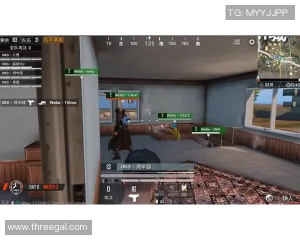 和平精英引发热议RNG战队技术争议背后的真相与分析