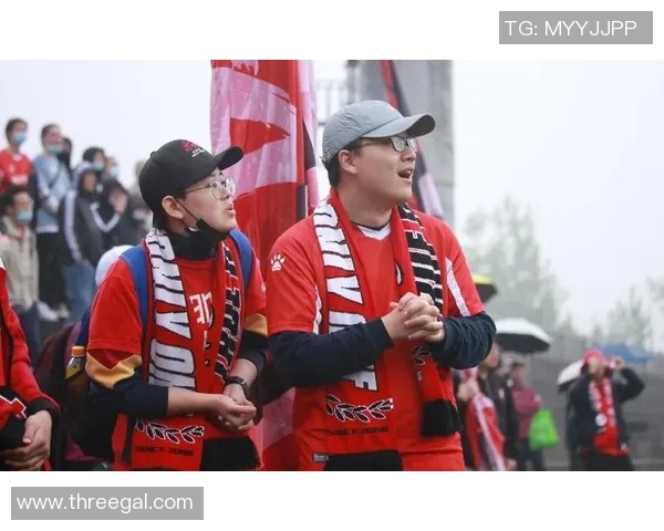 成都足球队配合变革引发热议球迷期待新战术崛起